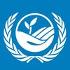 United Nations Convention to Combat Desertification (UNCCD)