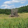 Acheter la forêt pour la protéger