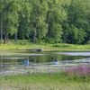 10 municipalités s’engagent à créer le «parc de conservation métropolitain de la Rivière-des-Mille-Îles